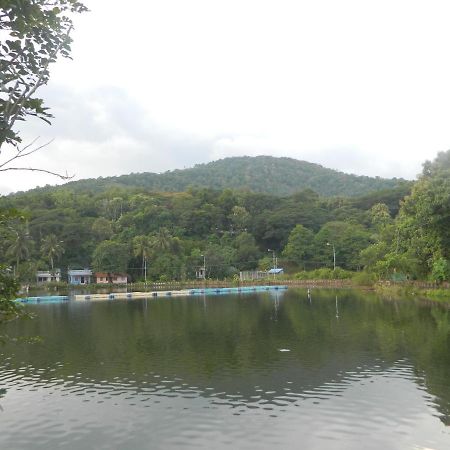 Zamaraya Bed & Breakfast Angamaly Eksteriør billede