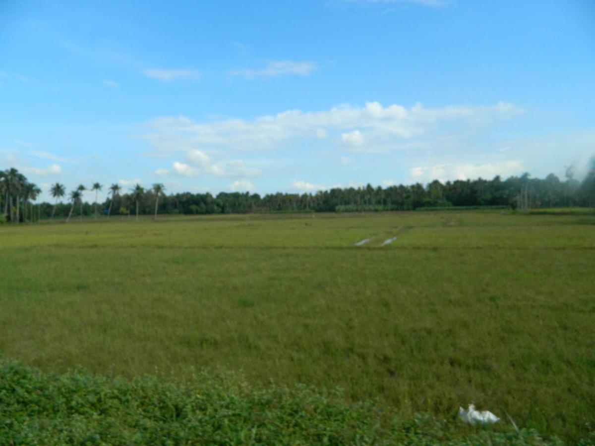 Zamaraya Bed & Breakfast Angamaly Eksteriør billede